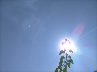 Similar image 22536485