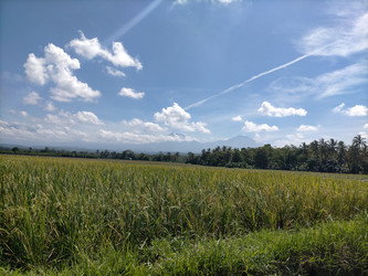 Similar image 22536498