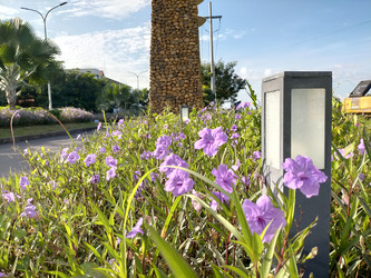 Similar image 22536529