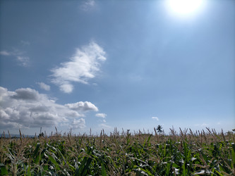 Similar image 22536530