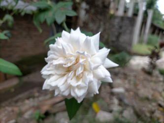 Similar image 22536574