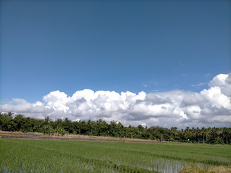 Similar image 22536575