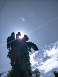 Similar image 22536588