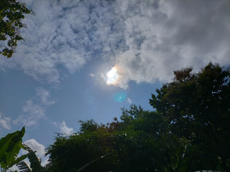 Similar image 22536589