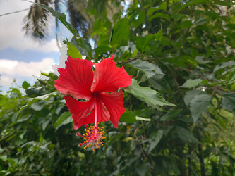 Similar image 22536604