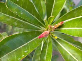 Similar image 22536621