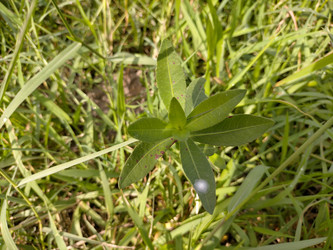 Similar image 22536622