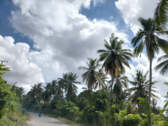 Similar image 22498632