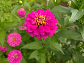 Similar image 22498633