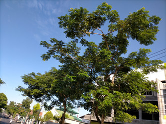 Similar image 22498664