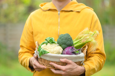 Similar image 22577251