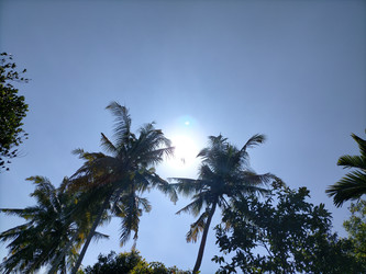 Similar image 22498708