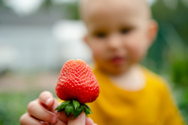 Similar image 22577264