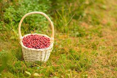 Similar image 22577282