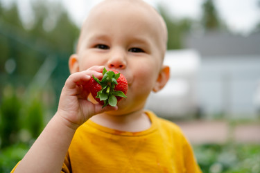 Similar image 22577296