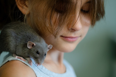 Similar image 22578330