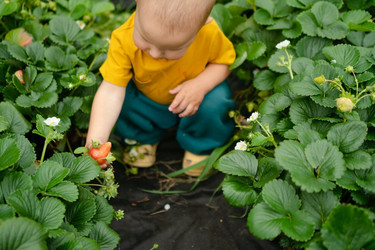 Similar image 22578331