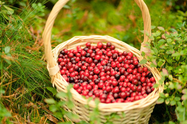 Similar image 22578346