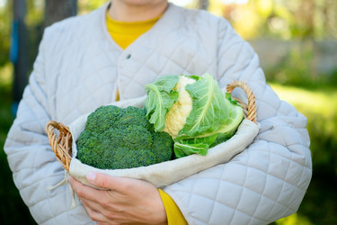 Similar image 22578372