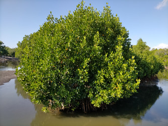 Similar image 22499009