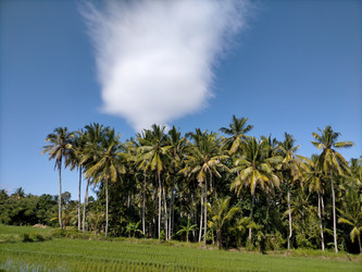 Similar image 22499022