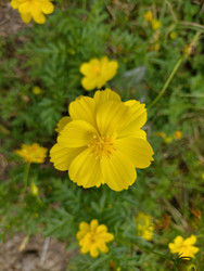 Similar image 22499038