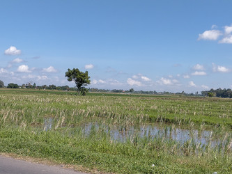 Similar image 22499039