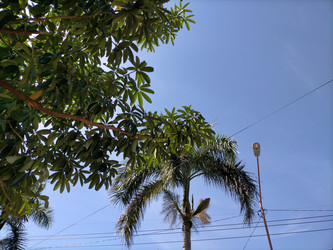 Similar image 22499052