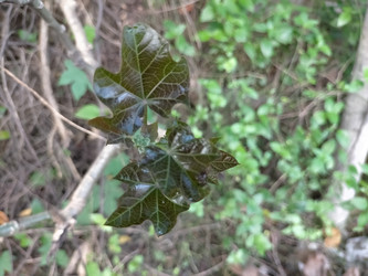 Similar image 22499069