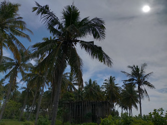 Similar image 22499080