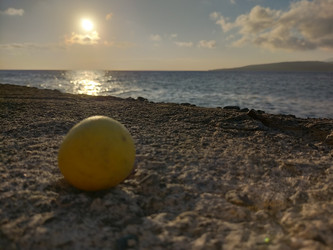 Similar image 22499081