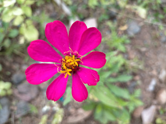 Similar image 22499095