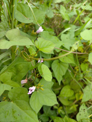 Similar image 22499364