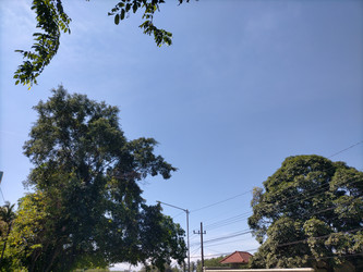 Similar image 22499394