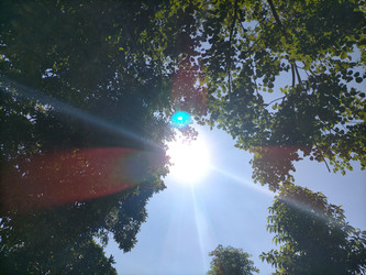 Similar image 22499409