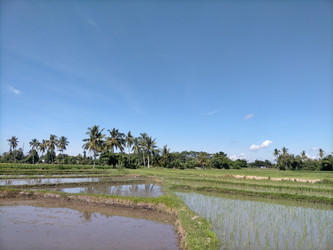 Similar image 22499425