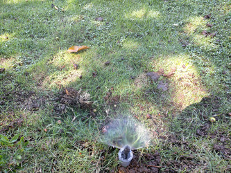 Similar image 22499453