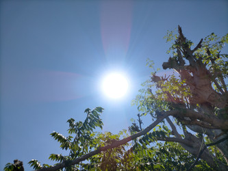 Similar image 22499454