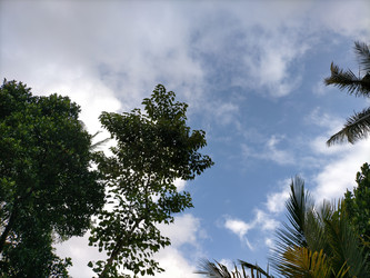 Similar image 22501294