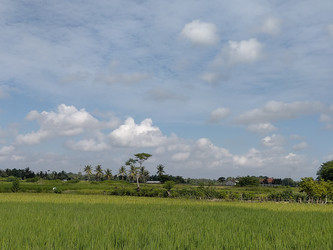 Similar image 22501295