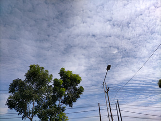 Similar image 22501309