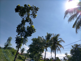 Similar image 22501323