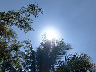 Similar image 22501324