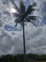 Similar image 22501339