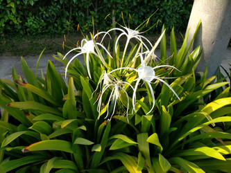 Similar image 22501355