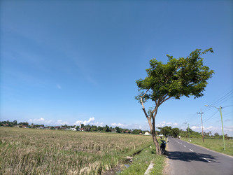 Similar image 22532580