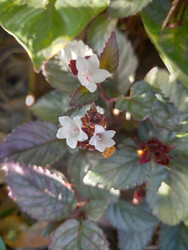 Similar image 22532603