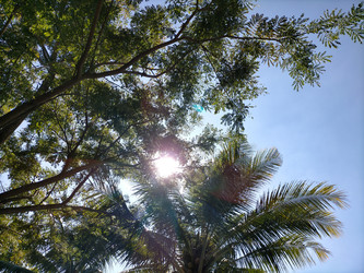 Similar image 22532645