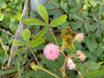 Similar image 22532667