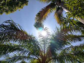 Similar image 22532707